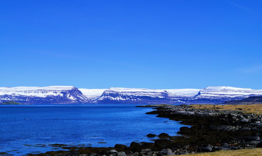 The Westfjords Shores With Abundance Of Life