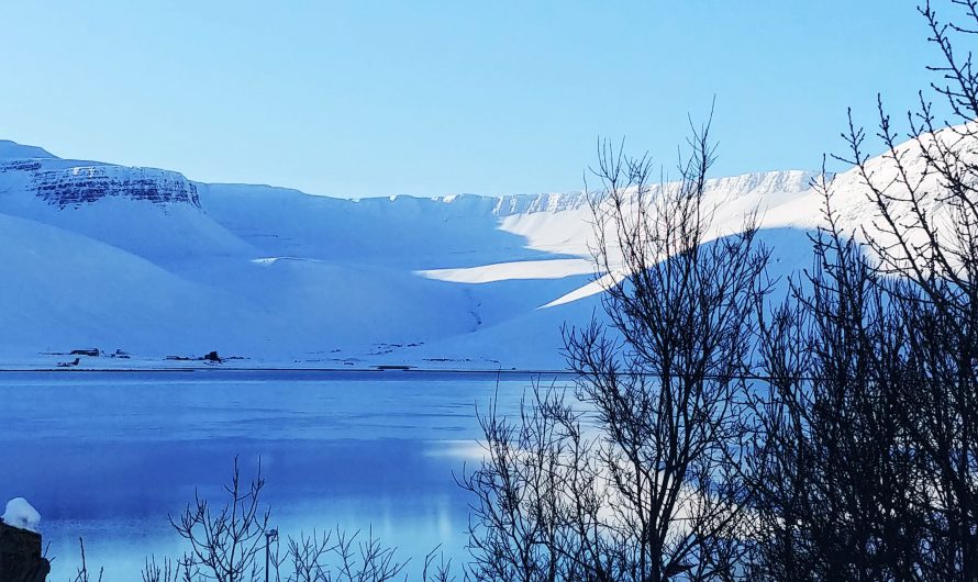 Winters In The Westfjords Are Like No Other