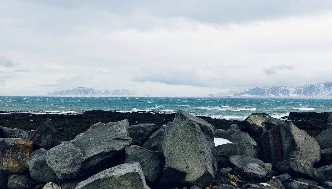 Reykjavik's Winter Shore