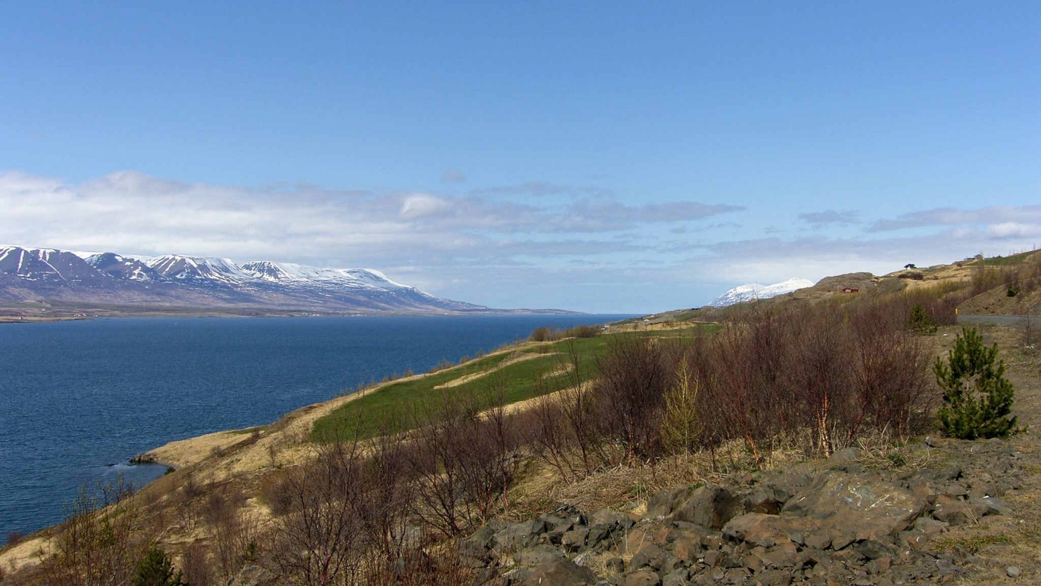 Eyjafjörður In Springtime
