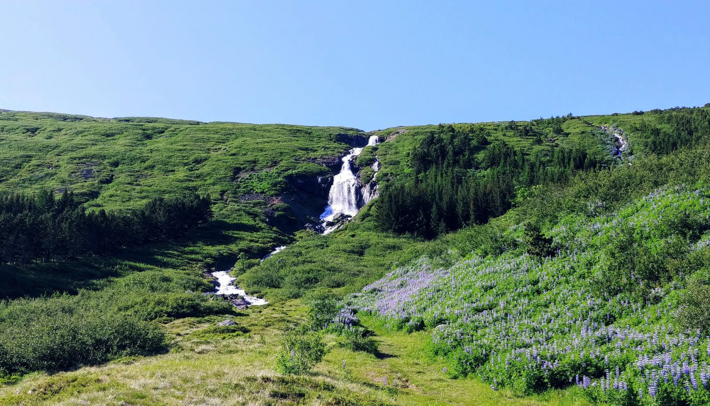Waterfall In Tungudalur