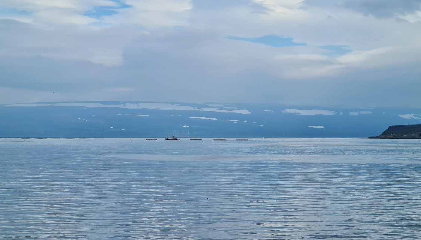 Fish Farming in Isafjordur Bay