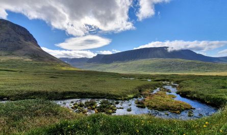 River In Jökulfirðir In Westfjords