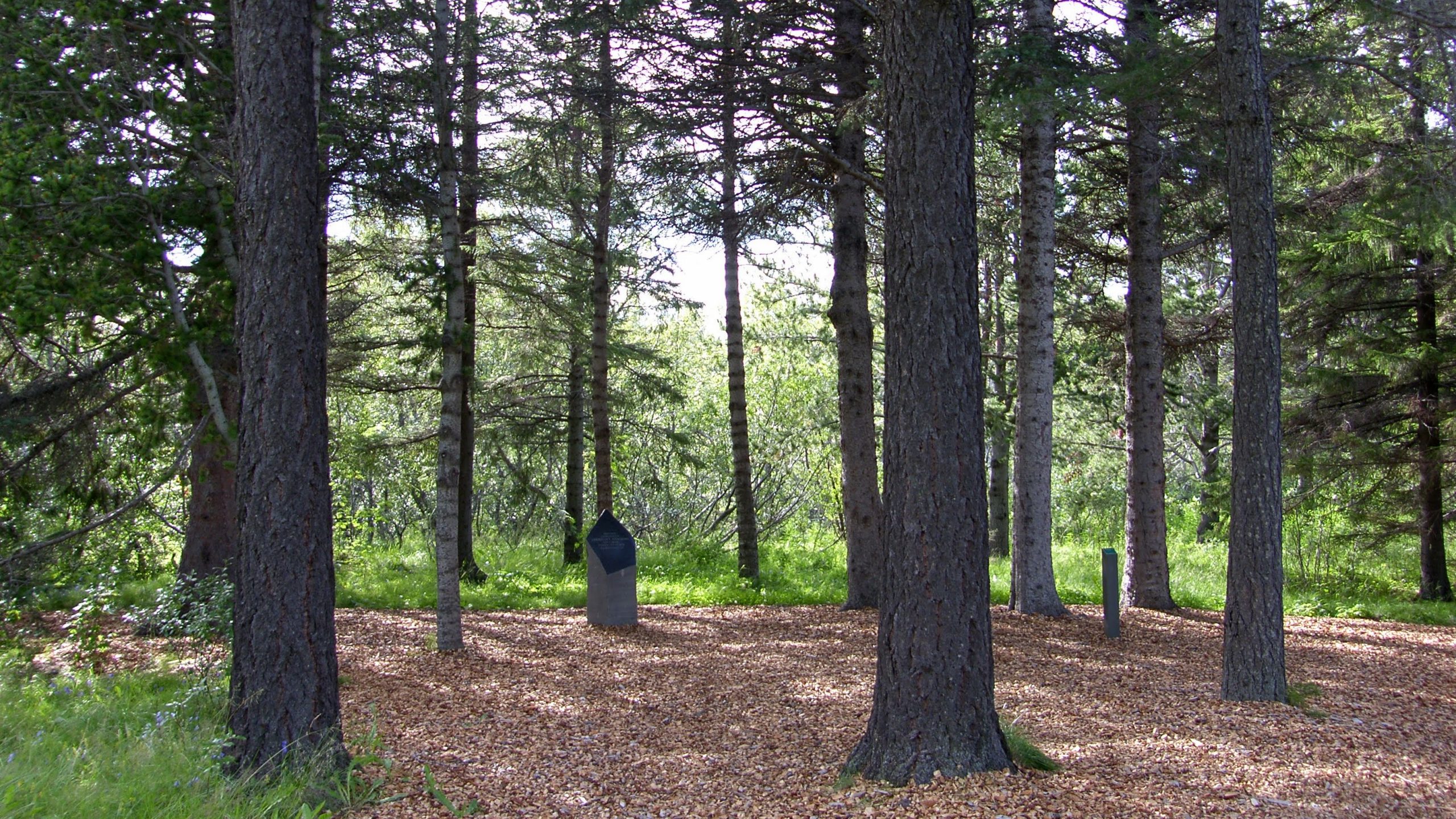 Small Monument In Hallormsstadarskogur Forest