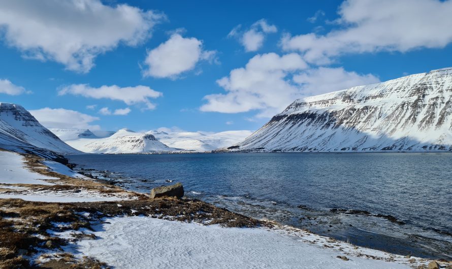 Magnificent Westfjords Are About To Be Discovered