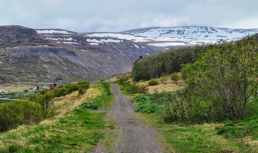 Iceland Photo Gallery: From Westfjords Winter To Spring And Again