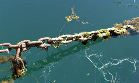 Seaweed Chain at Isafjordur Port