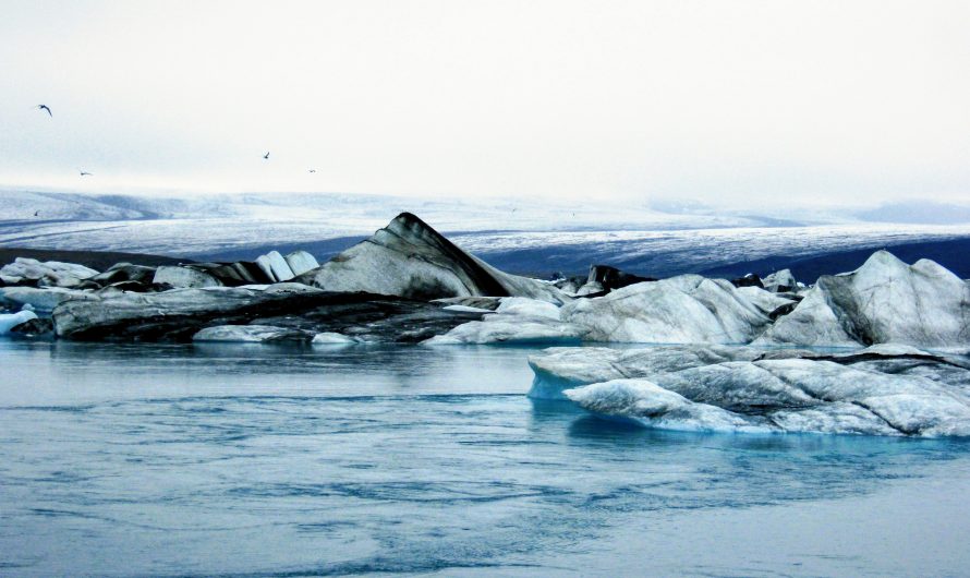Jokulsarlon Is The Famous Glacier Lagoon