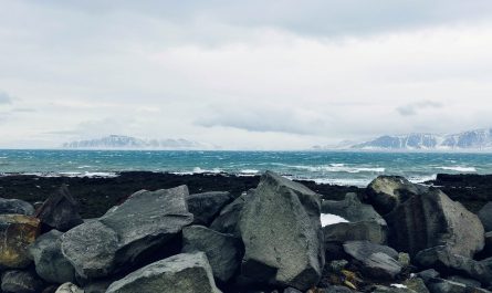 Reykjavik's Winter Shore