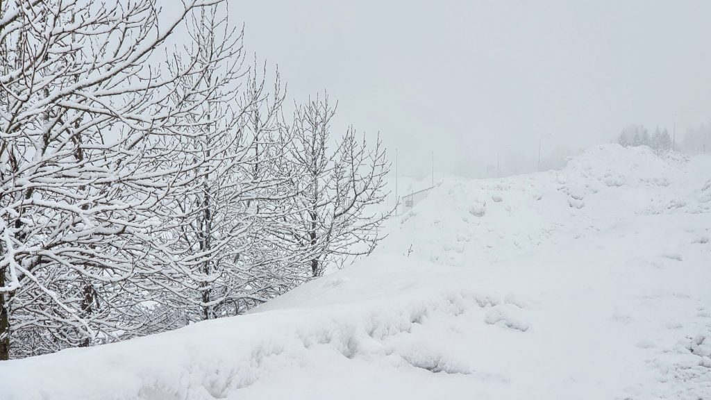 Snow Falling Isafjordur Town