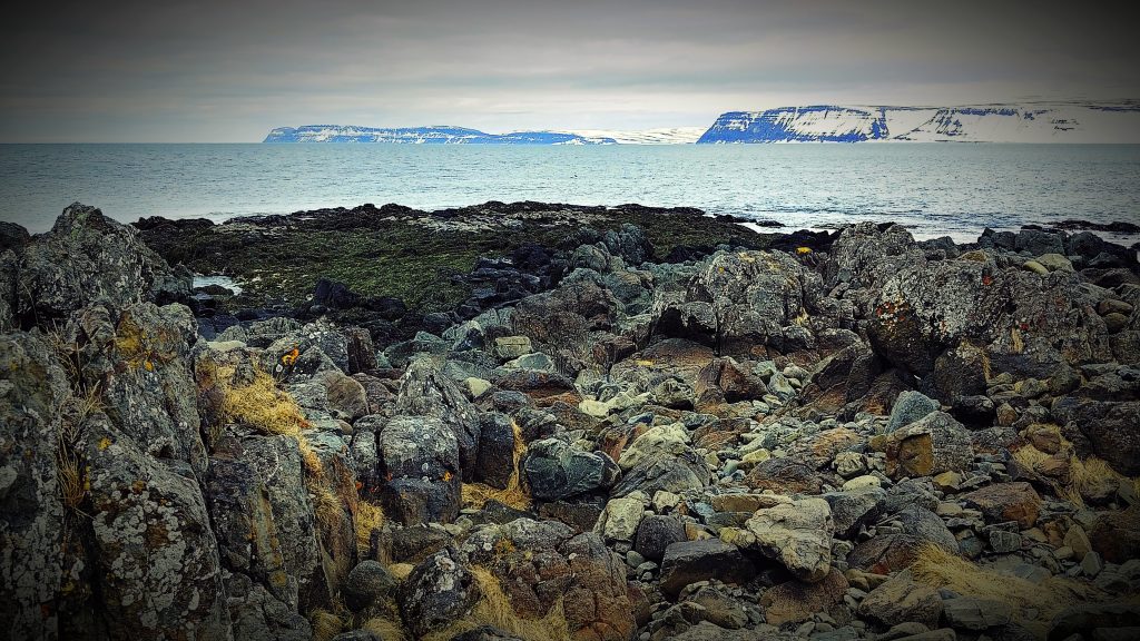 Snowy Mountain Coast