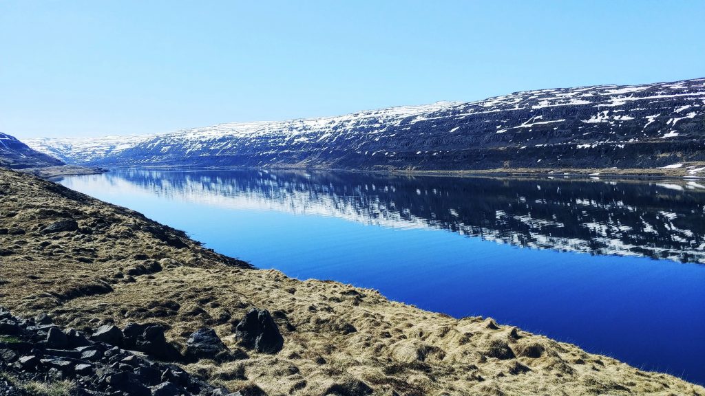 Skate Fjord In Springtime