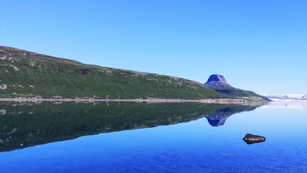 The Mountain Horse In Hestfjordur