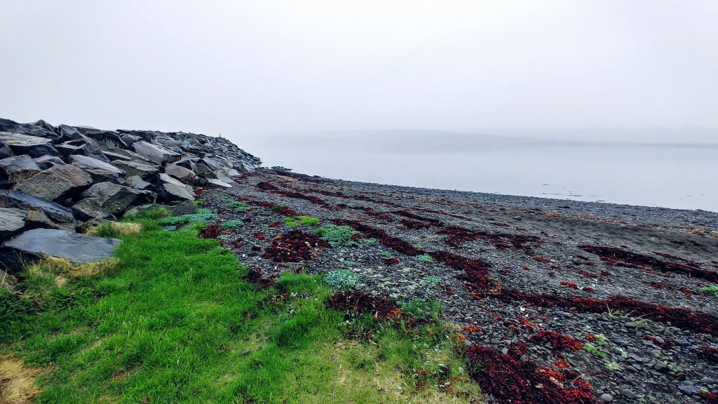 Shore In Isafjörður Fjord