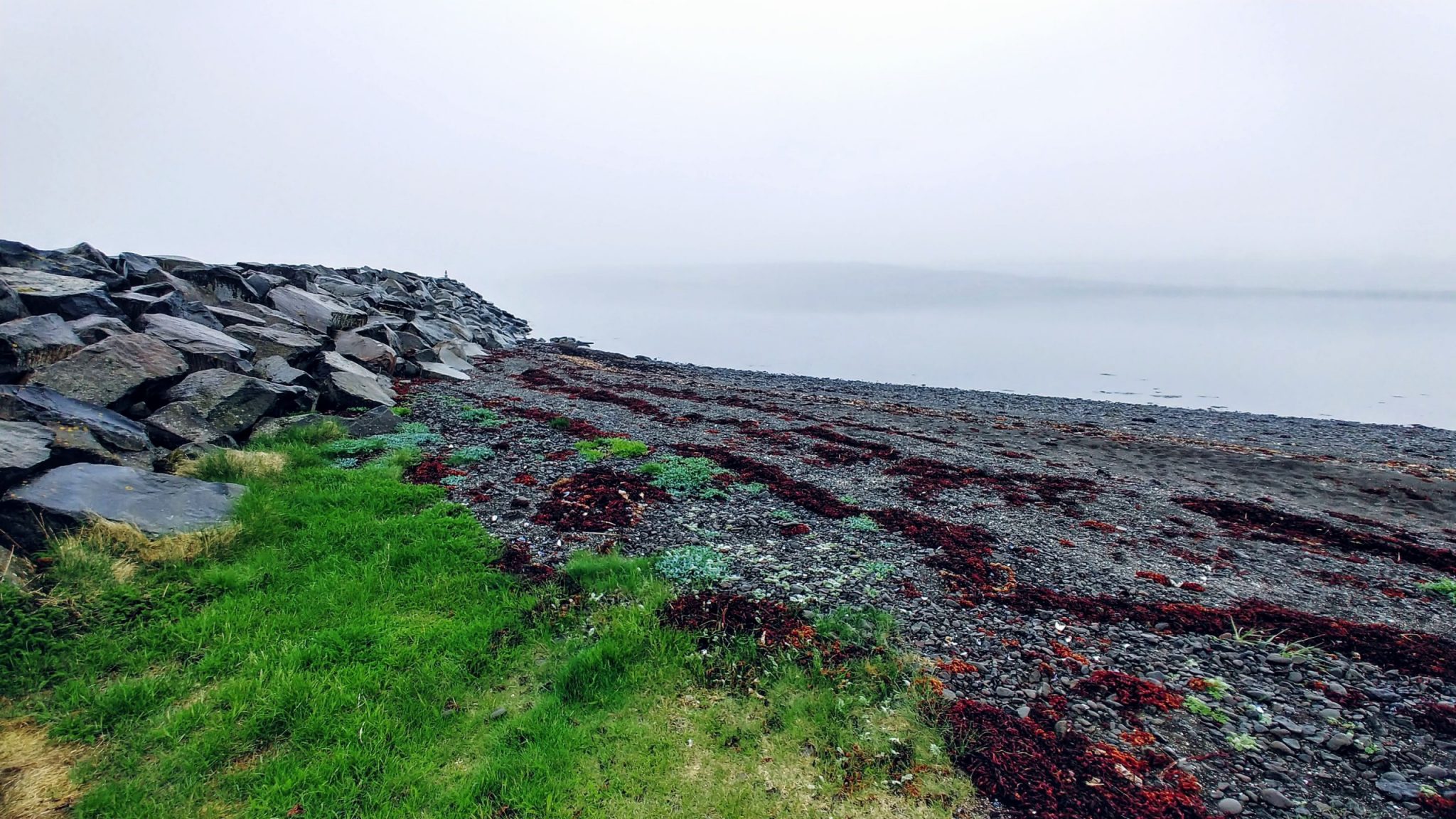 Shore In Isafjörður Fjord