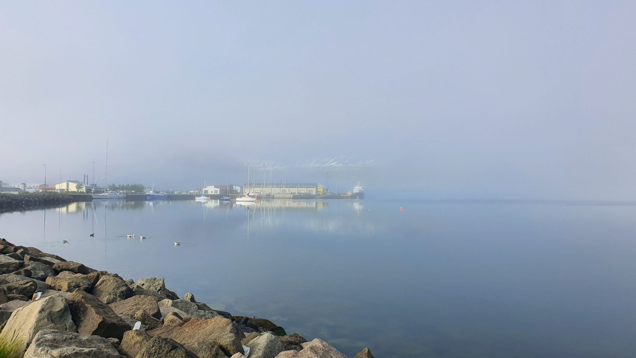 Foggy Summer Morning in Isafjordur