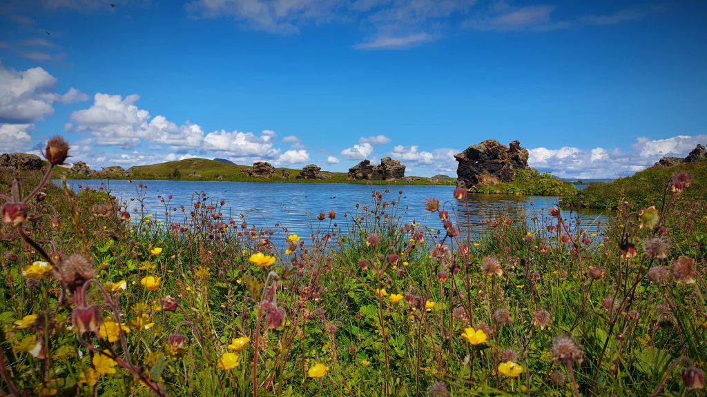 Lake Myvatn