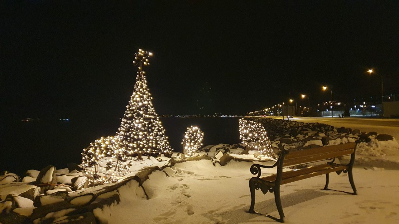 Christmas Tree Near Shore
