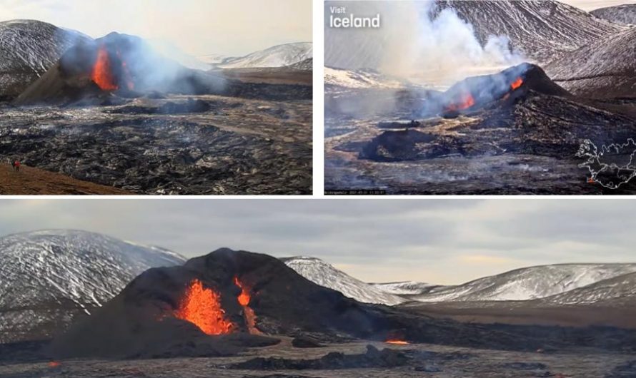 Reykjanes Volcano Eruption Livestreams