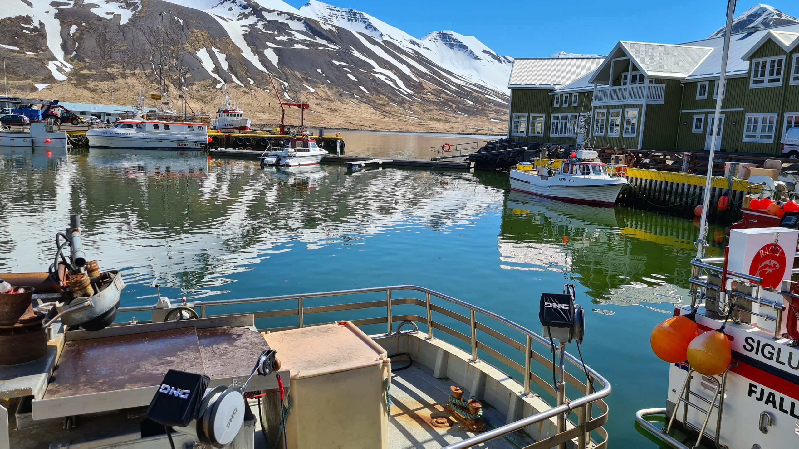 Siglufjörður Harbour Life