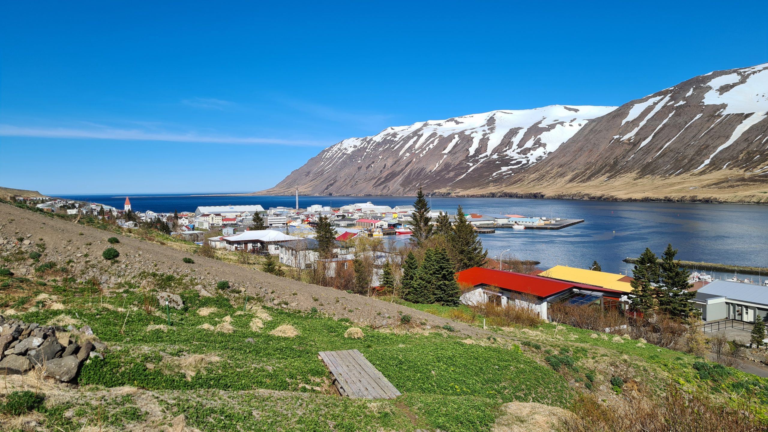 Siglufjörður View