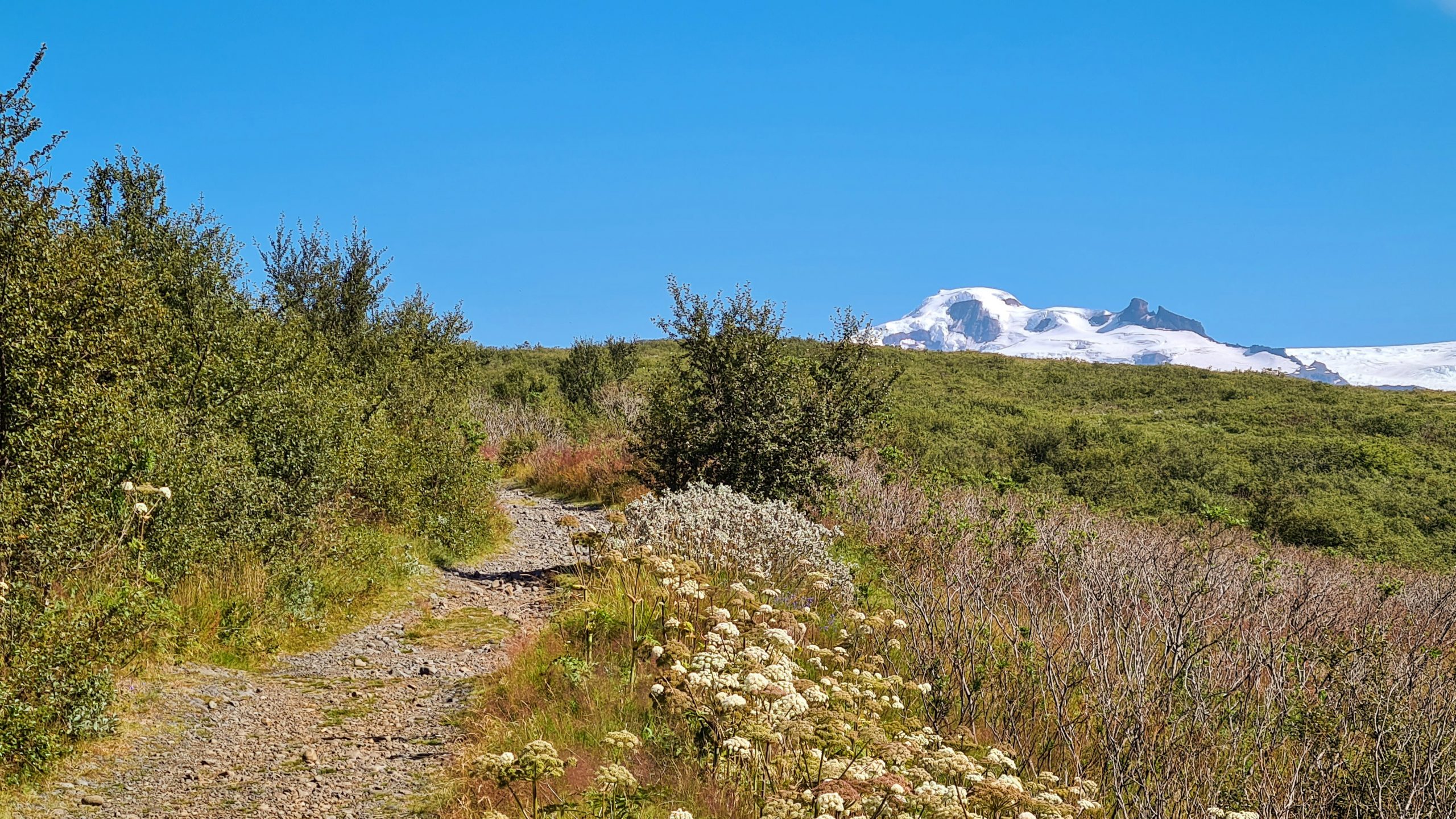 Hiking Trail in Skaftafell
