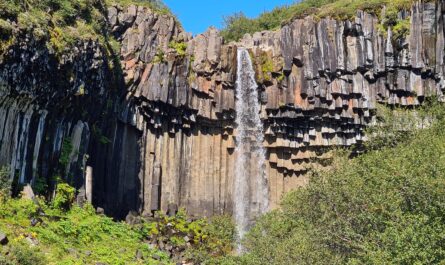 Svartifoss Columnar Basalt Waterfall