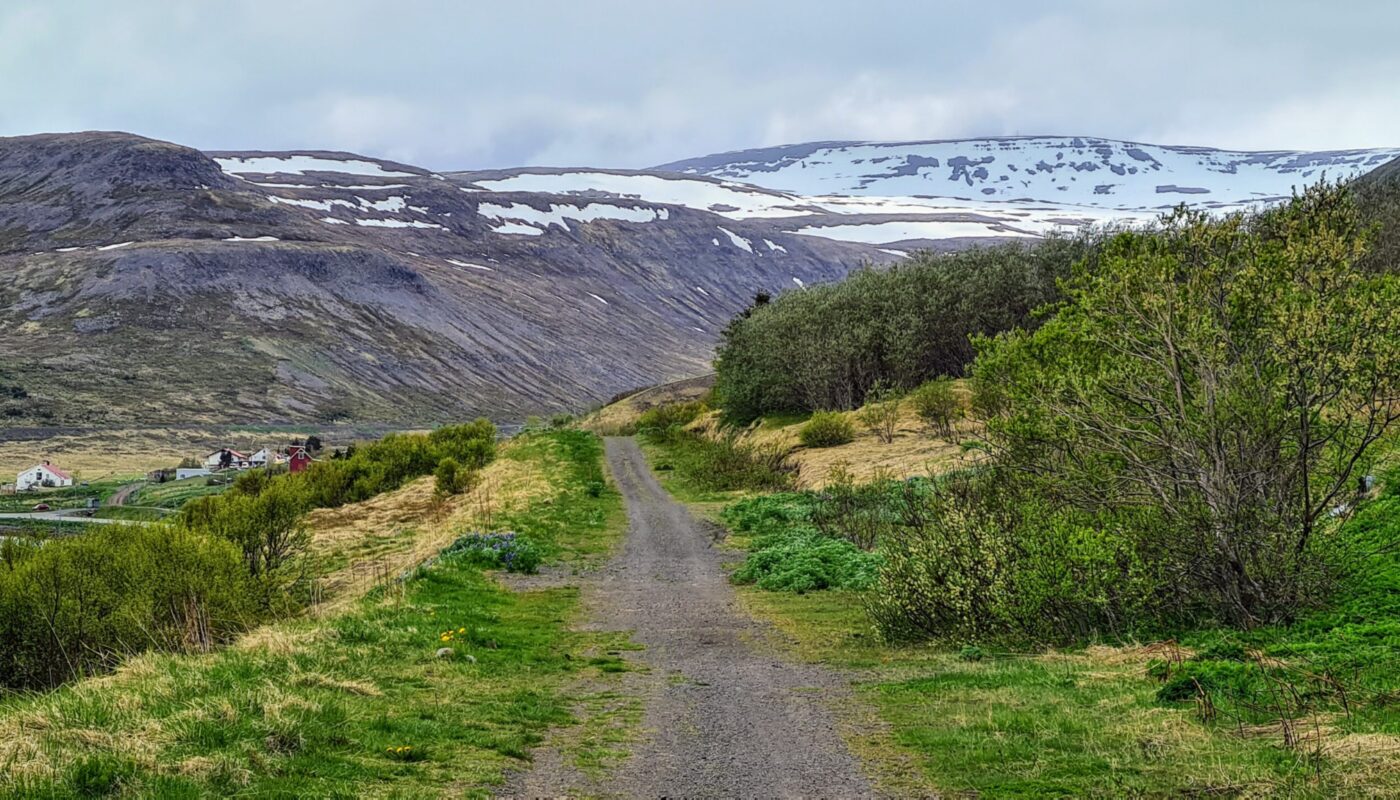 Hiking Path in Isafjordur