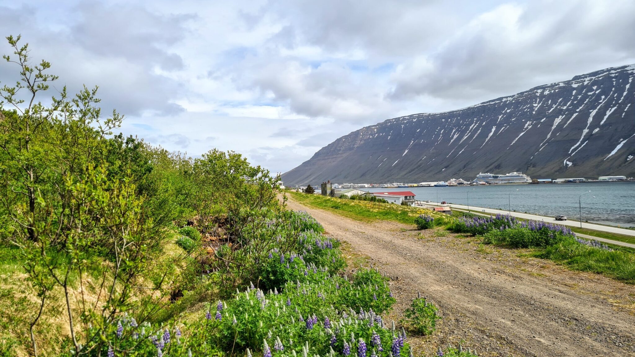 Early Summer View in Isafjordur Town