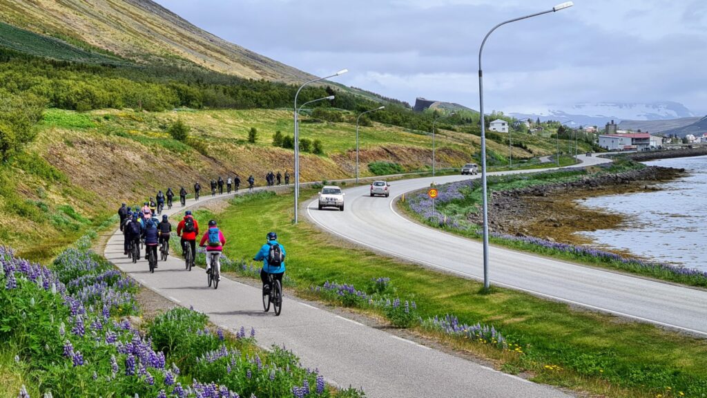 Group of Cruise Ship Passengers Cycling in Isafjordur Town