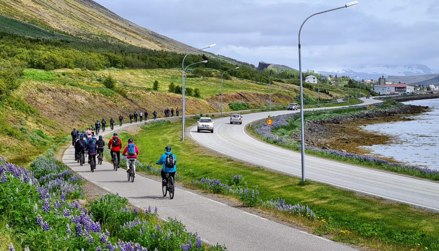 Group of Cruise Ship Passengers Cycling in Isafjordur Town