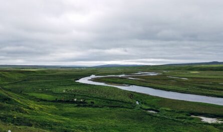 The river Midfjardara in Midfjordur