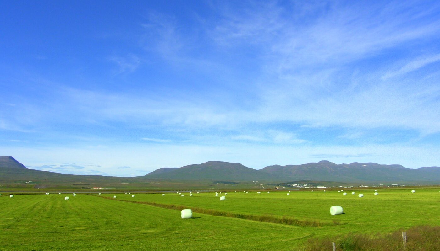 Skagafjörður with Varmahlíð Village in the Background