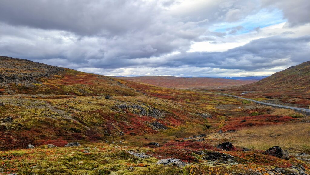 Autumn on Westfjords Heath