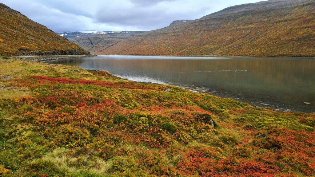 Autumn in Horse Fjord