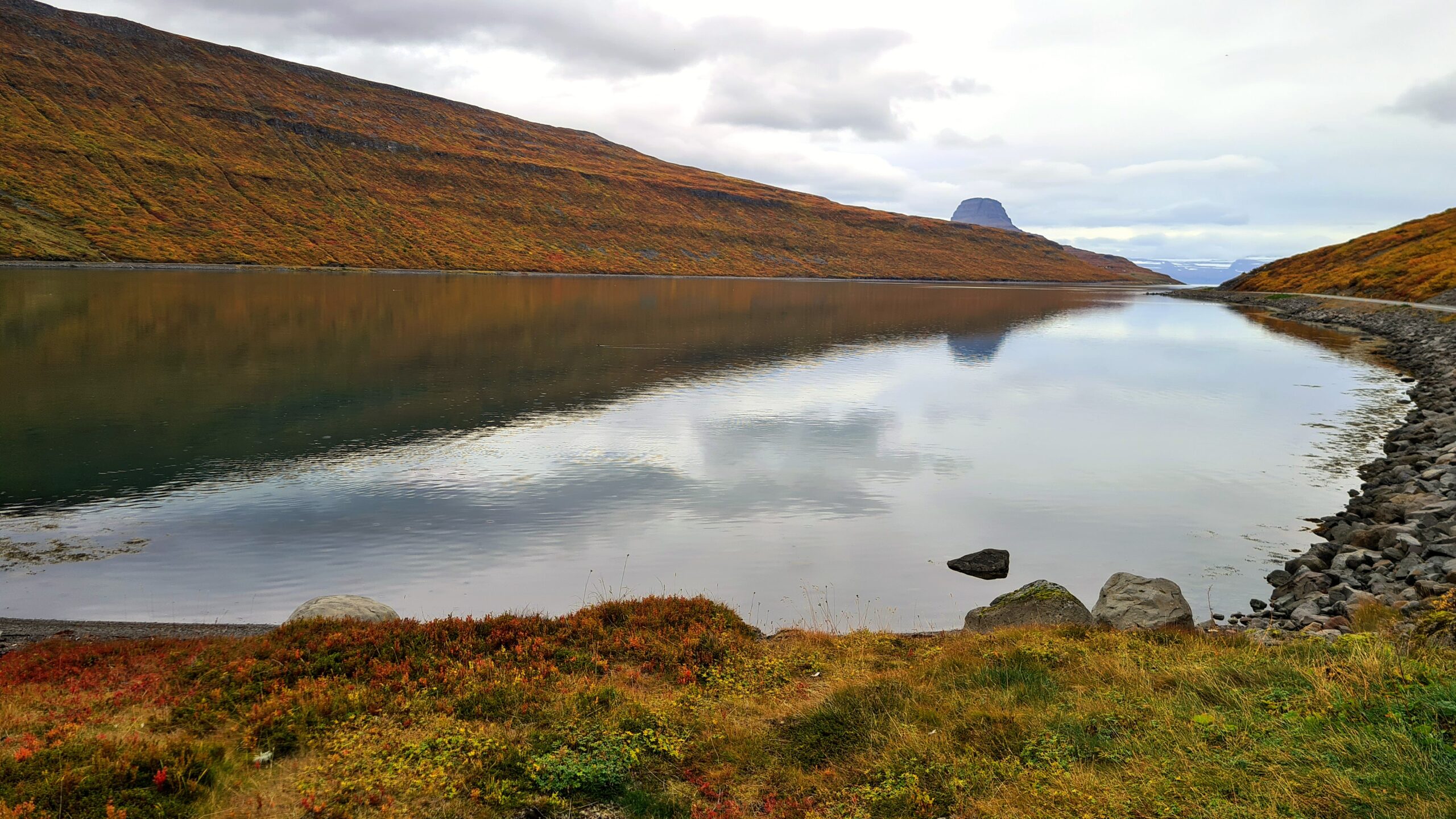 Hestfjordur Stillness