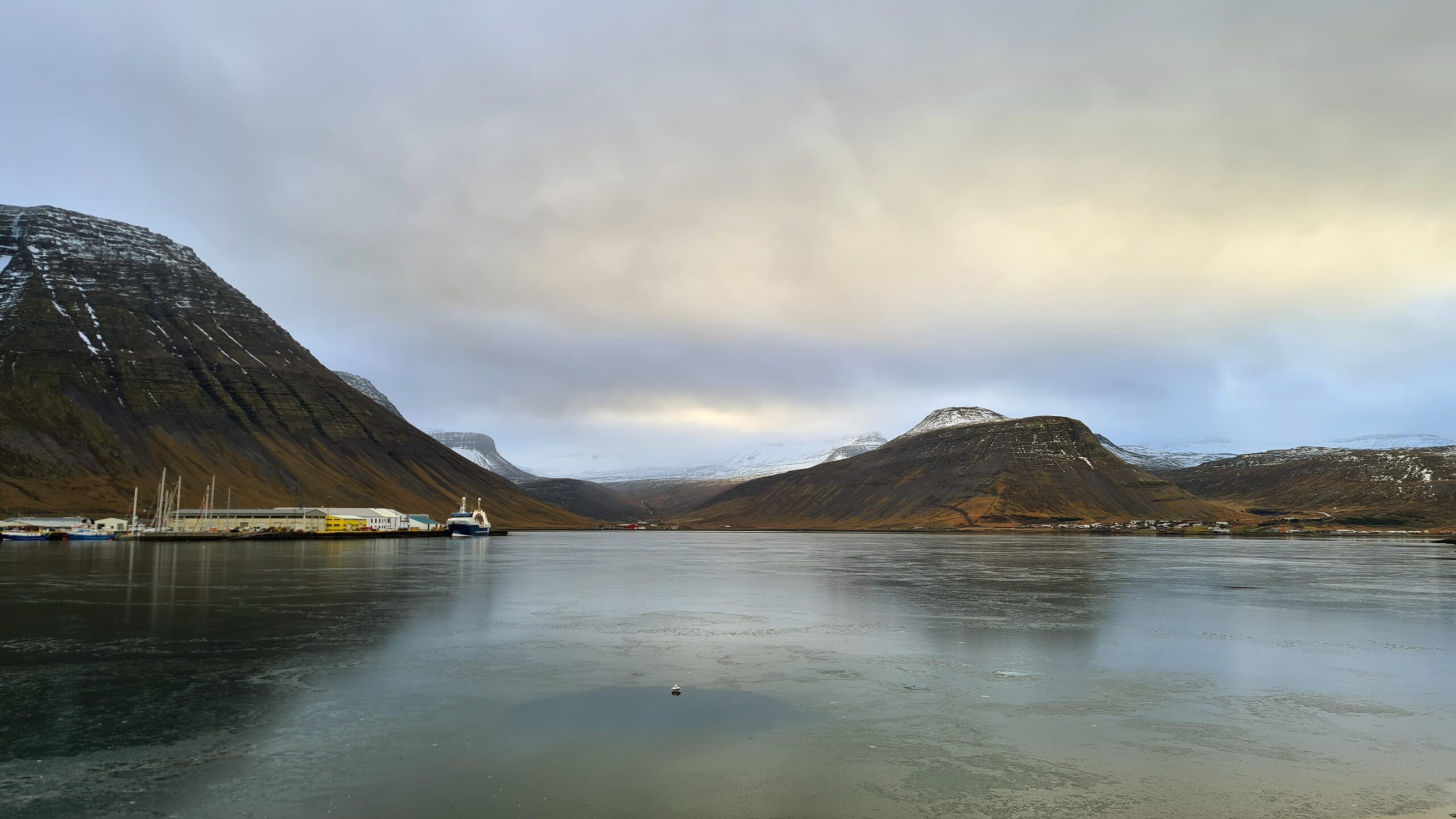 The First Ice of Winter