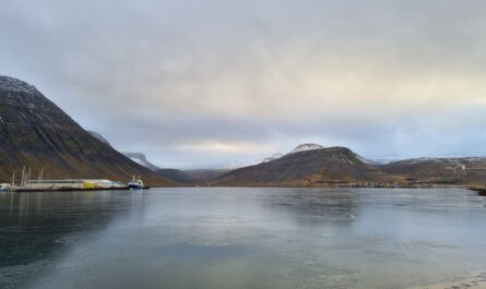 Ice Cover at Isafjordur Town