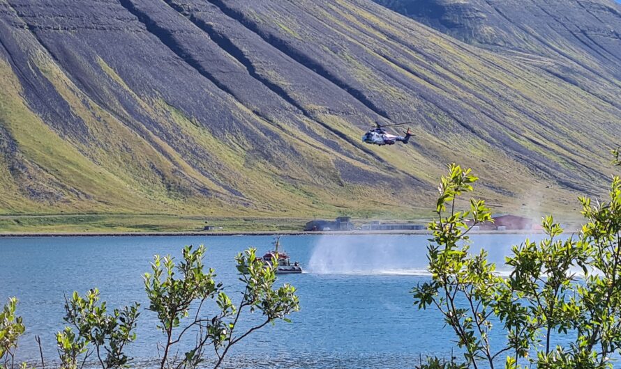 Miracle in the Westfjords