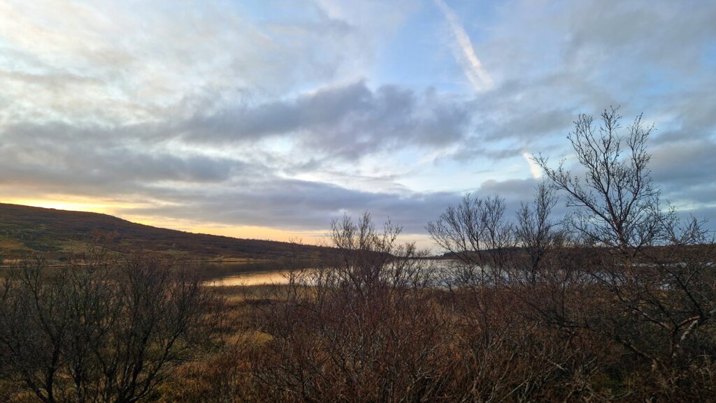 November Afternoon at Lake Vífilstaðavatn