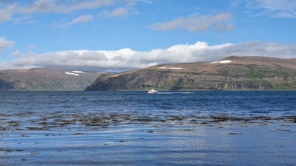 Small Passenger Boat at Jökulfirðir