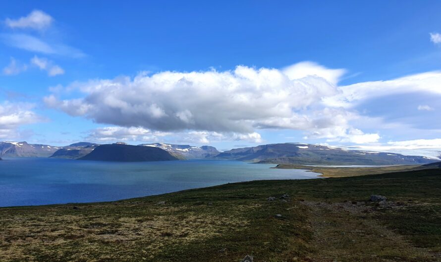 Hornstrandir Nature Reserve and Jökulfirðir in the Westfjords