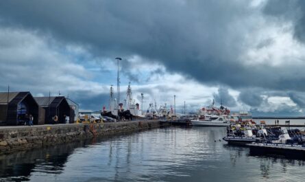 Reykjavík Harbor Morning