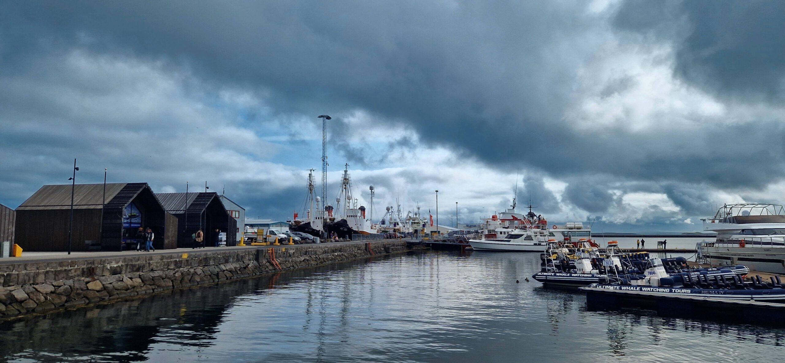 Reykjavík Harbor Morning